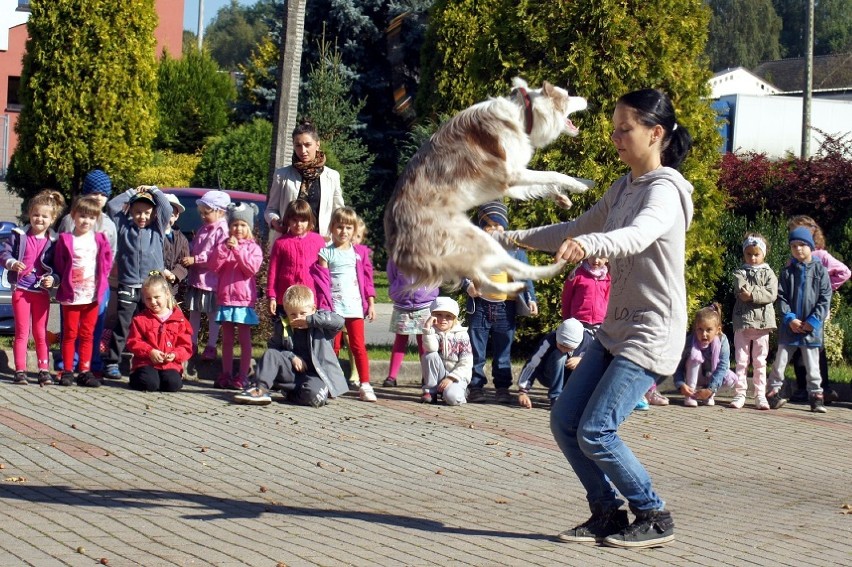 Dzieci obserwowały akrobacje psów