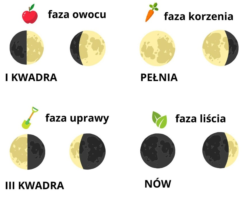 Kwadry Księżyca wyznaczają okresy prac ogrodniczych. Zostały...