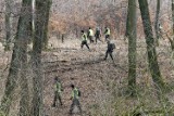 Powiat leszczyński. Żołnierze  sprawdzą w piątek lasy pod Wijewem. Poszukiwania padłych dzików w związku z ASF