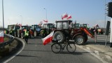 Czy doszło do poturbowania rolników na proteście? Policjanci wyjaśniają okoliczności [WIDEO]