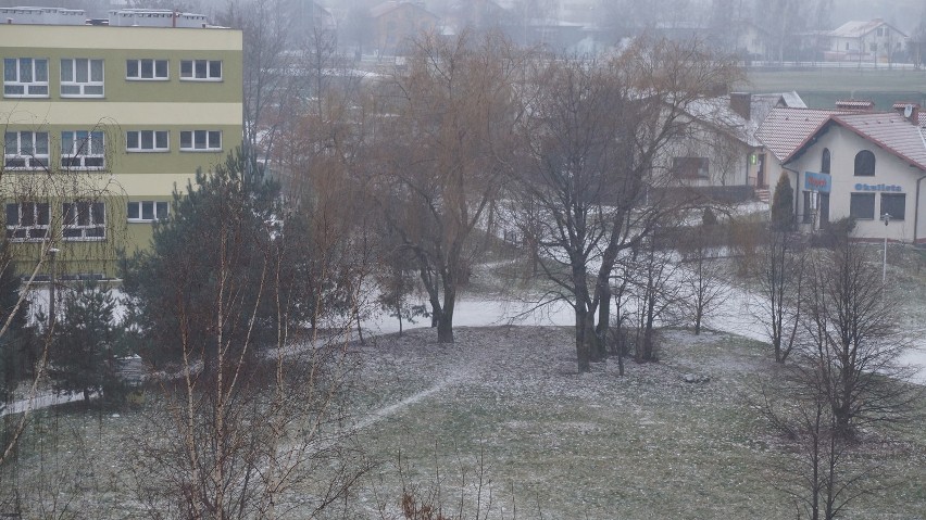 Foto Żory: Zima w Żorach naszych Internautów. Zobacz zdjęcia!