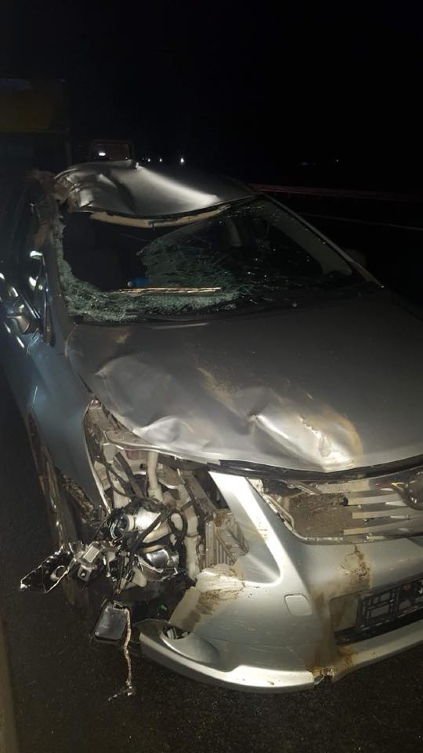 Kiezmark, gm. Cedry Wielkie: Nocne zderzenie dwóch samochodów z łosiem na S7. Dwie osoby trafiły do szpitala [ZDJĘCIA]
