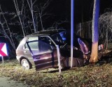 Areszt dla pijanego kierowcy, który spowodował wypadek w zagadkach w gminie Szczerców