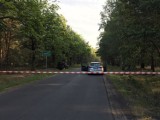 Wypadek koło Nowej Soli. Kierująca suzuki roztrzaskała się o drzewo