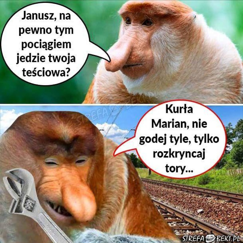 Najśmieszniejsze memy o... teściowych