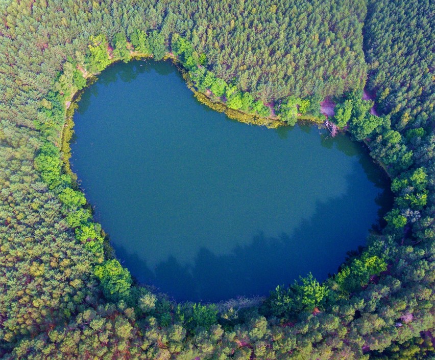 Jezioro Czarne koło Karolewa to cud natury. Ma kształt serca. Dziś o tym sercu mówi cała Polska!