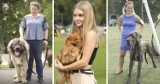 Cudowne psiaki w Rybniku! Wystawa Psów Rasowych 2022 w Kamieniu - ZDJĘCIA. Przyjechało aż 1500 wystawców