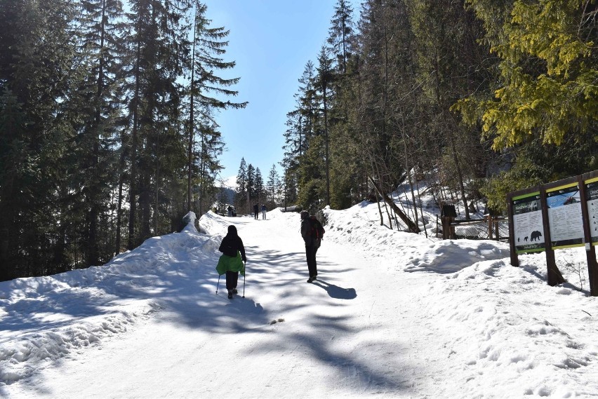 Tatry. Piękny dzień w górach. Na szlakach sporo turystów i narciarzy. W górach jednak ślisko! Zdjęcia z soboty 19 marca