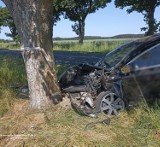 Śmiertelny wypadek koło Szlichtyngowej. Ford uderzył w przydrożne drzewo