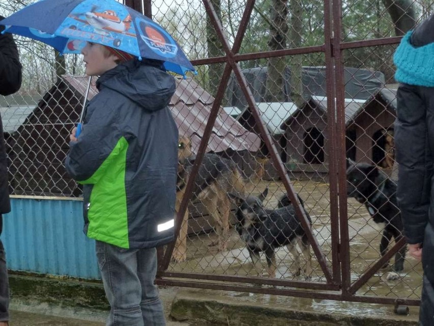 Gniezno: schronisko dla zwierząt z prezentami od dzieci