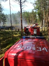 Palił się las niedaleko Płotek. Błyskawiczna akcja gaśnicza. Strażacy zdusili pożar niemal w zarodku