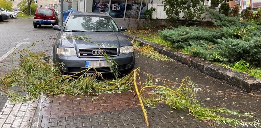 Wiatr mocno wieje w Stargardzie i regionie. Drzewo spadło na ciężarówkę. Łamią się gałęzie 