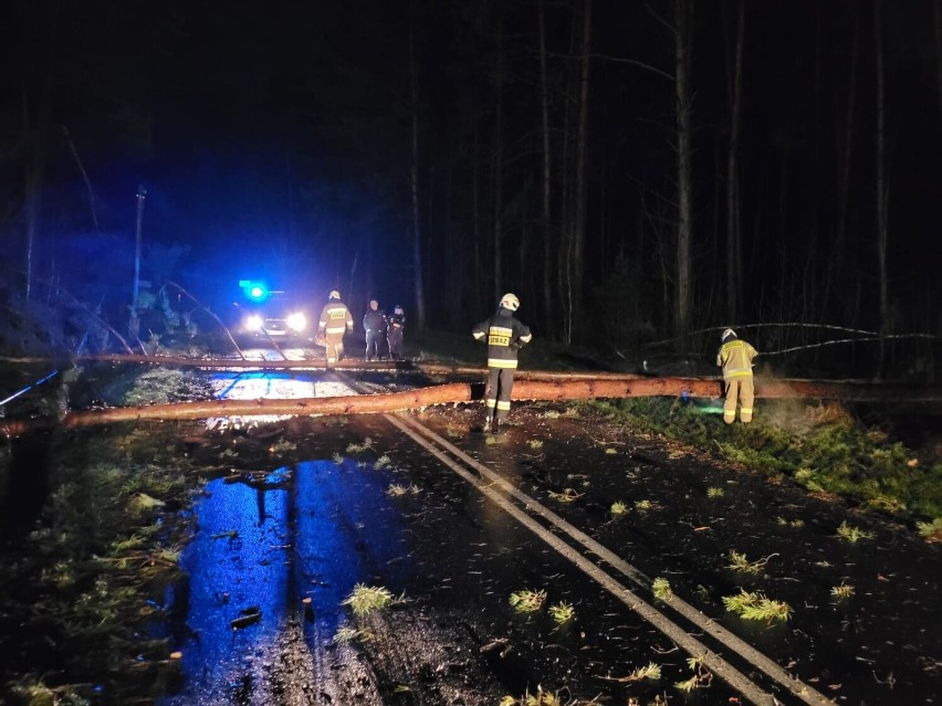 Akcje strażaków z OSP Leśniów Wielki związane z usuwaniem...