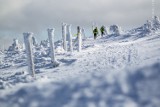 Zimowy Ultramaraton Karkonoski startuje już w najbliższą sobotę