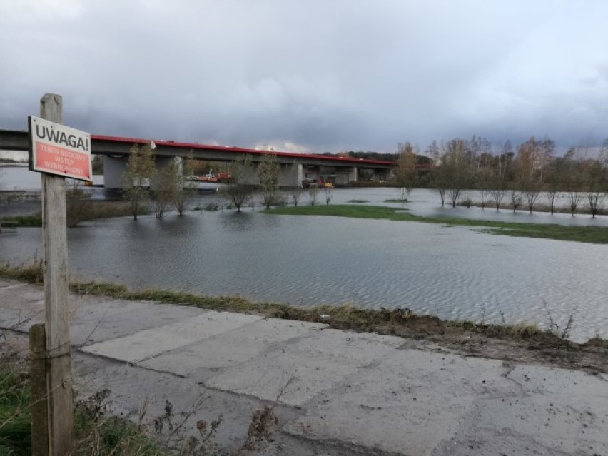 Nowy Dwór Gdański. Ogłoszono alarm powodziowy dla Żuław i...