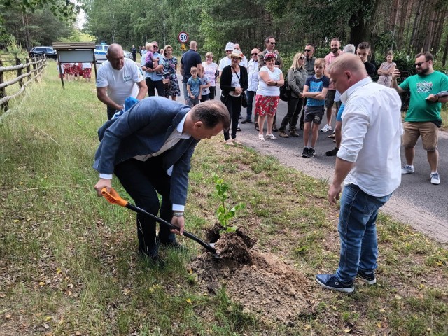 Święto Lipy w Jabłonce Starej trwa!