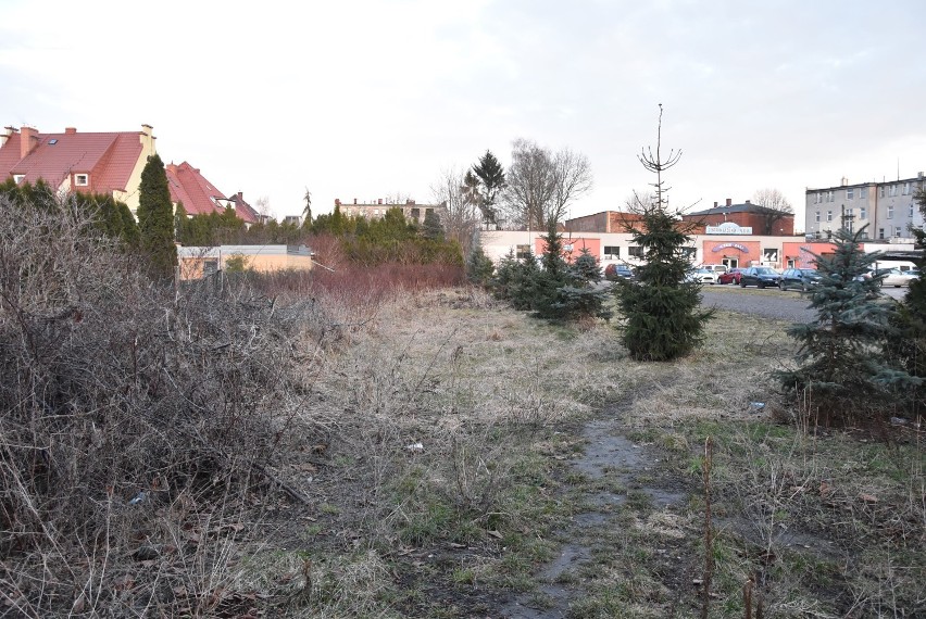 Malbork. Parking na Kościuszki czy skwer z zielenią? Trwa dyskusja nad przyszłością zagospodarowania centrum Malborka