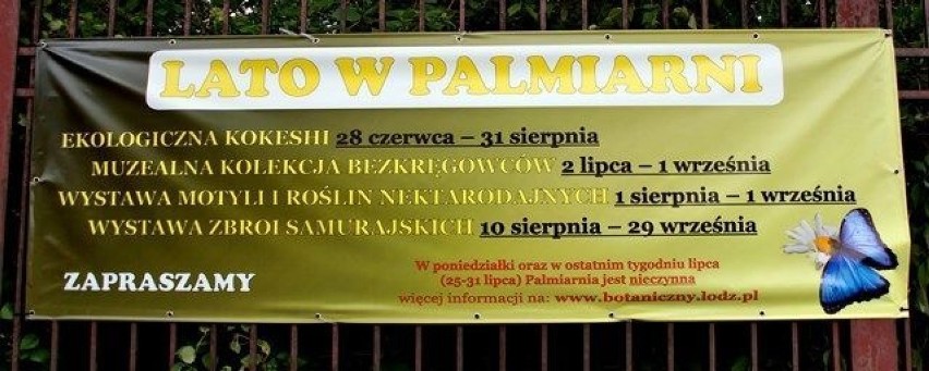 Bilbord "Lata w Palmiarni"Fot. Mariusz Reczulski