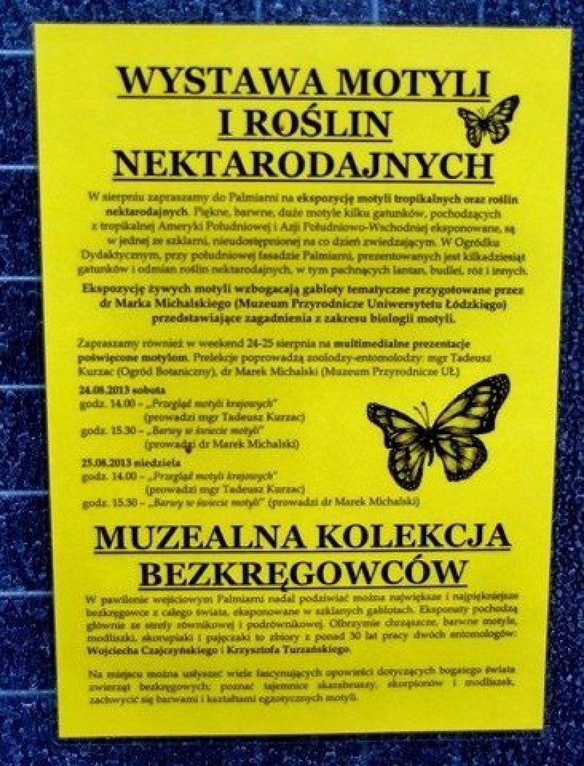 Plakat wystawy motyli i roślin nektarodajnych.Fot. Mariusz...
