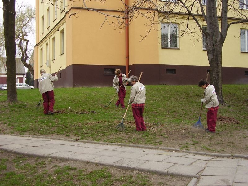 Jaworzno: Miejski Zarząd Nieruchomości Komunalnych posadzi 18 tysięcy kwiatów w mieście