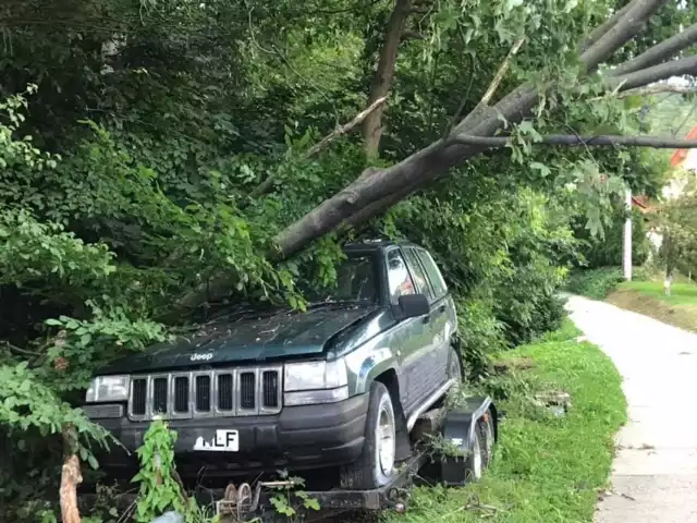 W Boguszy(gm. Kamionka Wielka) powalone drzewo zniszczyło samochód
