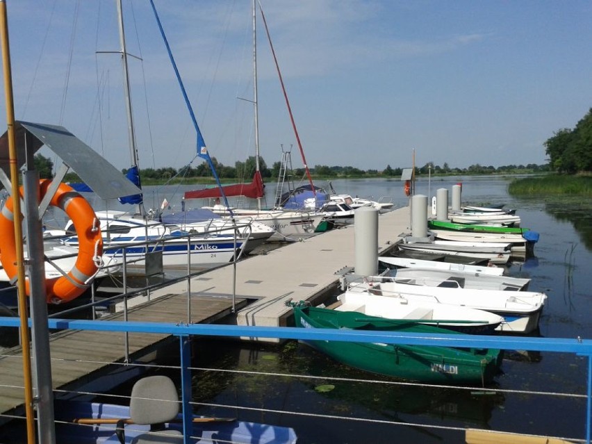 Przystań żeglarska w Parku Miejskim w Malborku z największym obłożeniem
