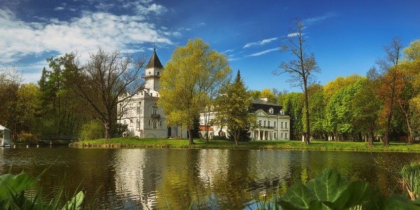 Pałac w Radziejowicach znajduje się zaledwie 40 km na zachód...