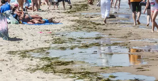 Sinice w Bałtyku 2020. Zamknięte kąpieliska na Pomorzu 28.06.2020. Gdzie dziś zakaz kąpieli nad morzem? Co to są sinice? Zakwit sinic
(zdjęcia ilustracyjne)