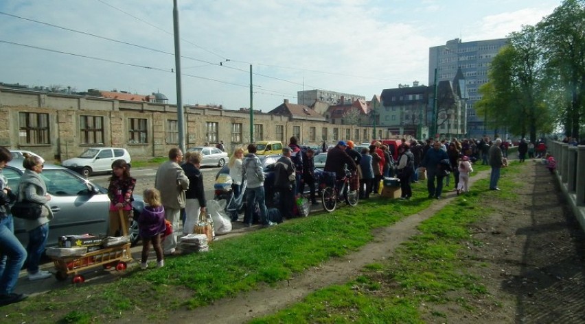 Drzewko za makulaturę w Starym Zoo