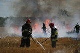 Pożar pod Damasławkiem. Akcję strażaków utrudniała zerwana linia energetyczna