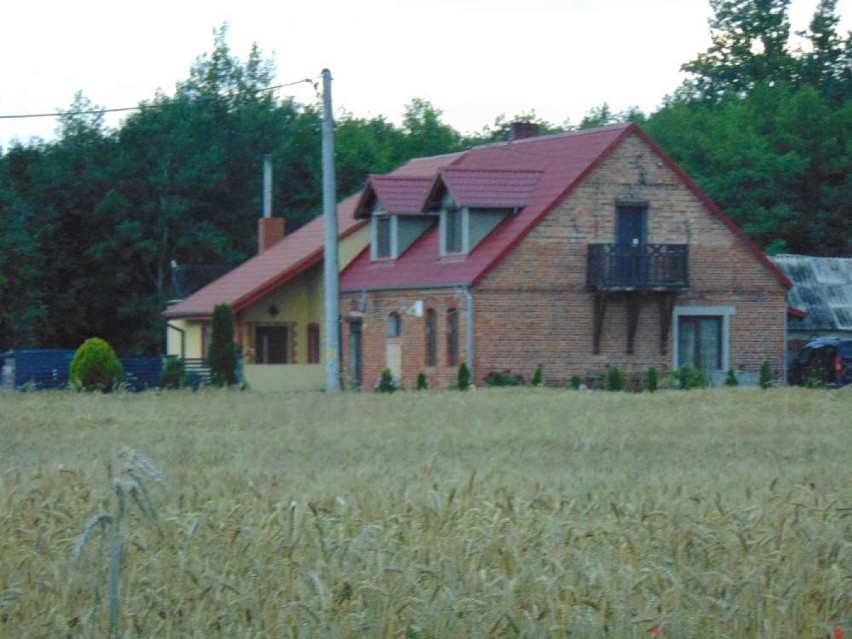 Miejscowości powiatu chodzieskiego. Nowe Brzeźno w gminie Budzyń [ZDJĘCIA]