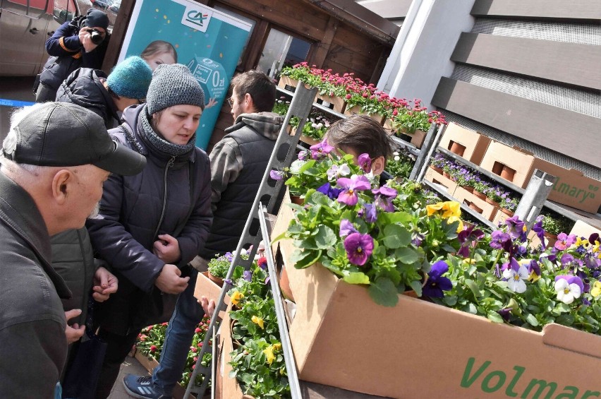 Podczas akcji "Bądź EKO na wiosnę", która odbyła się 18...