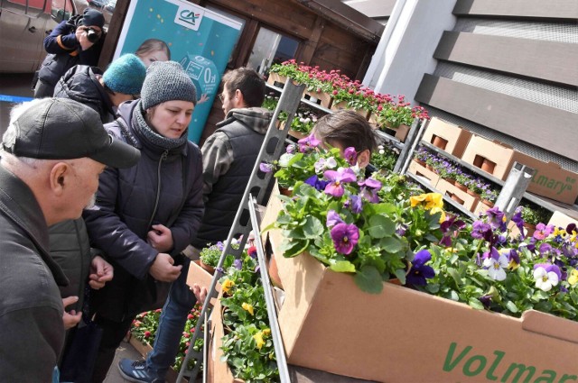 Podczas akcji "Bądź EKO na wiosnę", która odbyła się 18 marca pod Galerią solna w Inowrocławiu rozdaliśmy 1400 sadzonek wiosennych kwiató w zamian za plastikowe nakrętki i butelki PET