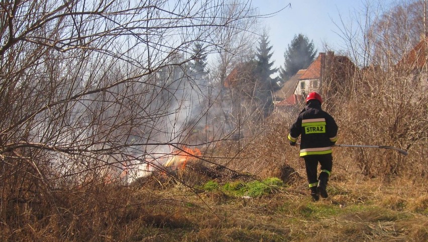 Pożary traw w powiecie malborskim. W okresie 23 lutego-12 marca były 52 takie zdarzenia!