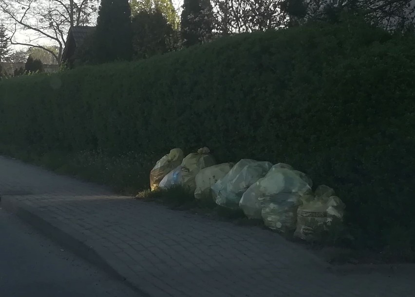 Fala śmieci zalała ulice Kędzierzyna-Koźla. "Czysty region" wznowił odbiór odpadów. Ale nie na wszystkich osiedlach stanie się to od razu