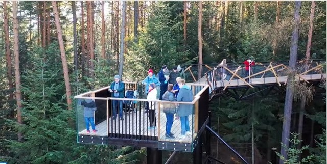 Leśne molo na Miejskiej Górze to prawdziwy hit! Tłumy odwiedzają atrakcję w Starym Sącz