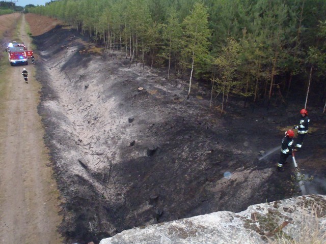 Jastrowie: Pożar lasu w okolicach Jastrowia. Akcja strażaków pod Jastrowiem [FOTO]