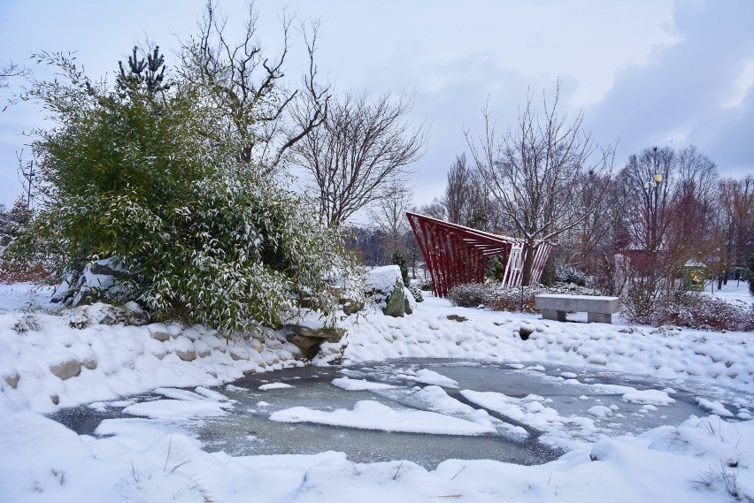 Zima w Parku nad Nacyną w Rybniku