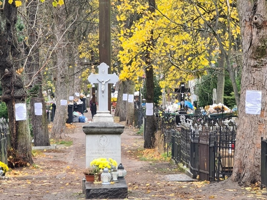 Na zdjęciu - Cmentarz św. Jerzego przy ulicy Gałczyńskiego....