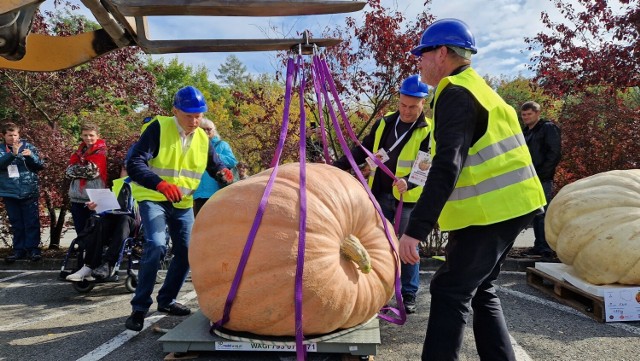 Festiwal Dyń w Krapkowicach 2022.