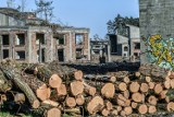 Leśnicy chcą ochrony lasów przy inwestycjach w Bydgoszczy, a ratusz nie