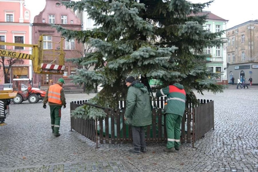 Na leszczyńskim rynku pojawiła się choinka