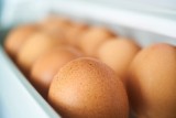 Skażone jajka trafiły do sprzedaży! Sprawdź, czy masz je w domu