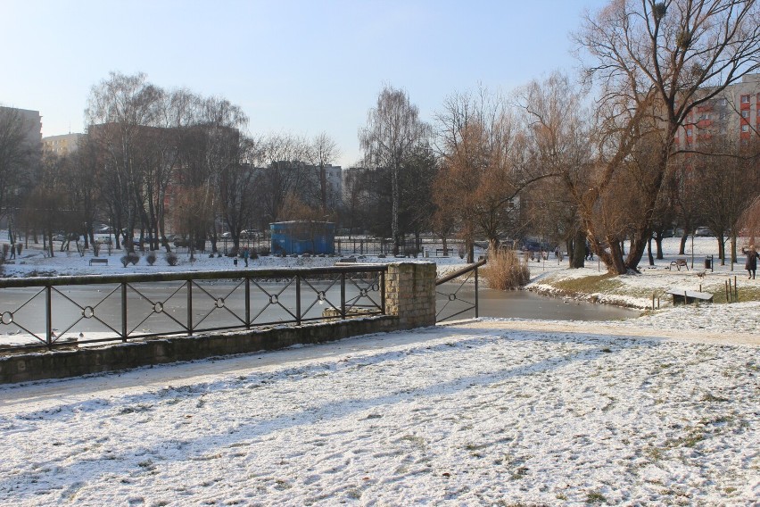 Park Kachla w Bytomiu na "biało". Zachwyca także zimową...