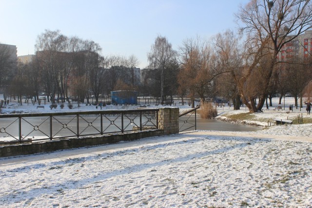 Park Kachla w Bytomiu na "biało". Zachwyca także zimową porą. Zobacz zdjęcia >>>