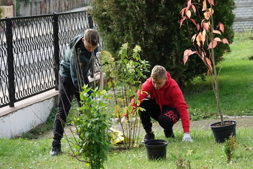 Nowe nasadzenia w powiecie nyskim. Starostwo ponawia swoją...