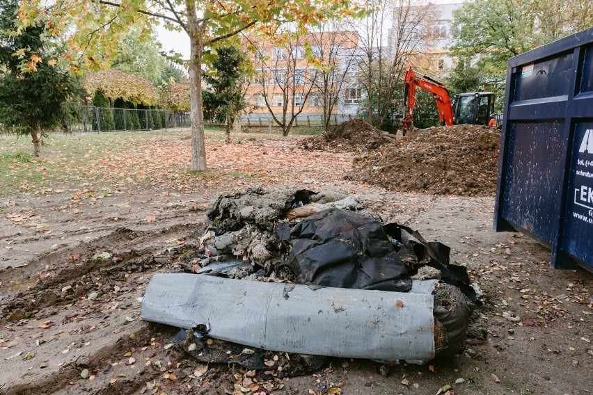 Wyprowadzając psy, ich właściciele muszą teraz uważać na...