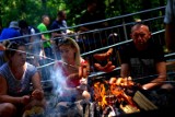 Bełchatów: Piknik w Nadleśnictwie "Czas w las"