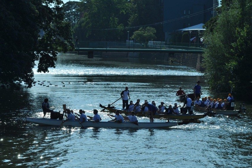 wyścigi smoczych łodzi wrocław  17.09.2011