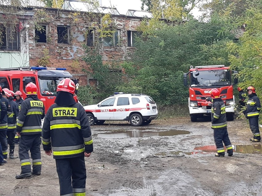 W październiku na działce przy ulicy Filomatów doszło do...